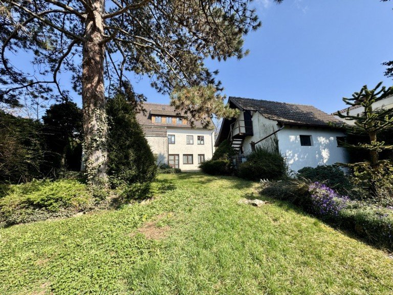 Blick vom Garten Waiblingen Einfamilienhaus Selten & exklusiv : EFH in Waiblingen mit Gartenparadies & Potential zum Zweifamilienhaus